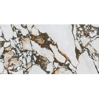 Arcana Les Bijoux Odilon-R 59,3x119,3 Pol marmur