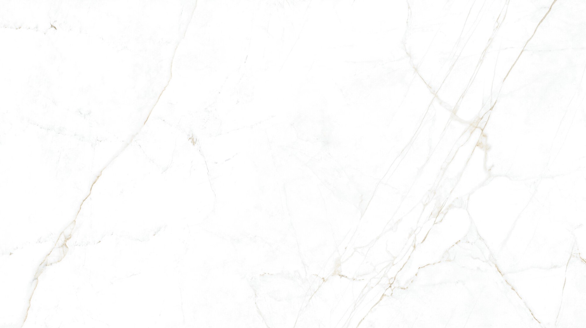 Museum Dual White SP 100x180