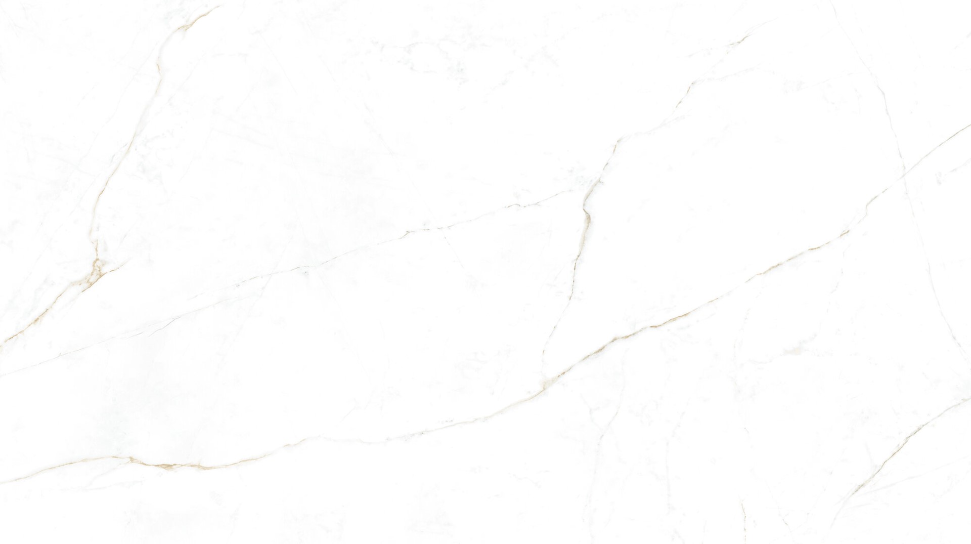 Museum Dual White P 100x180