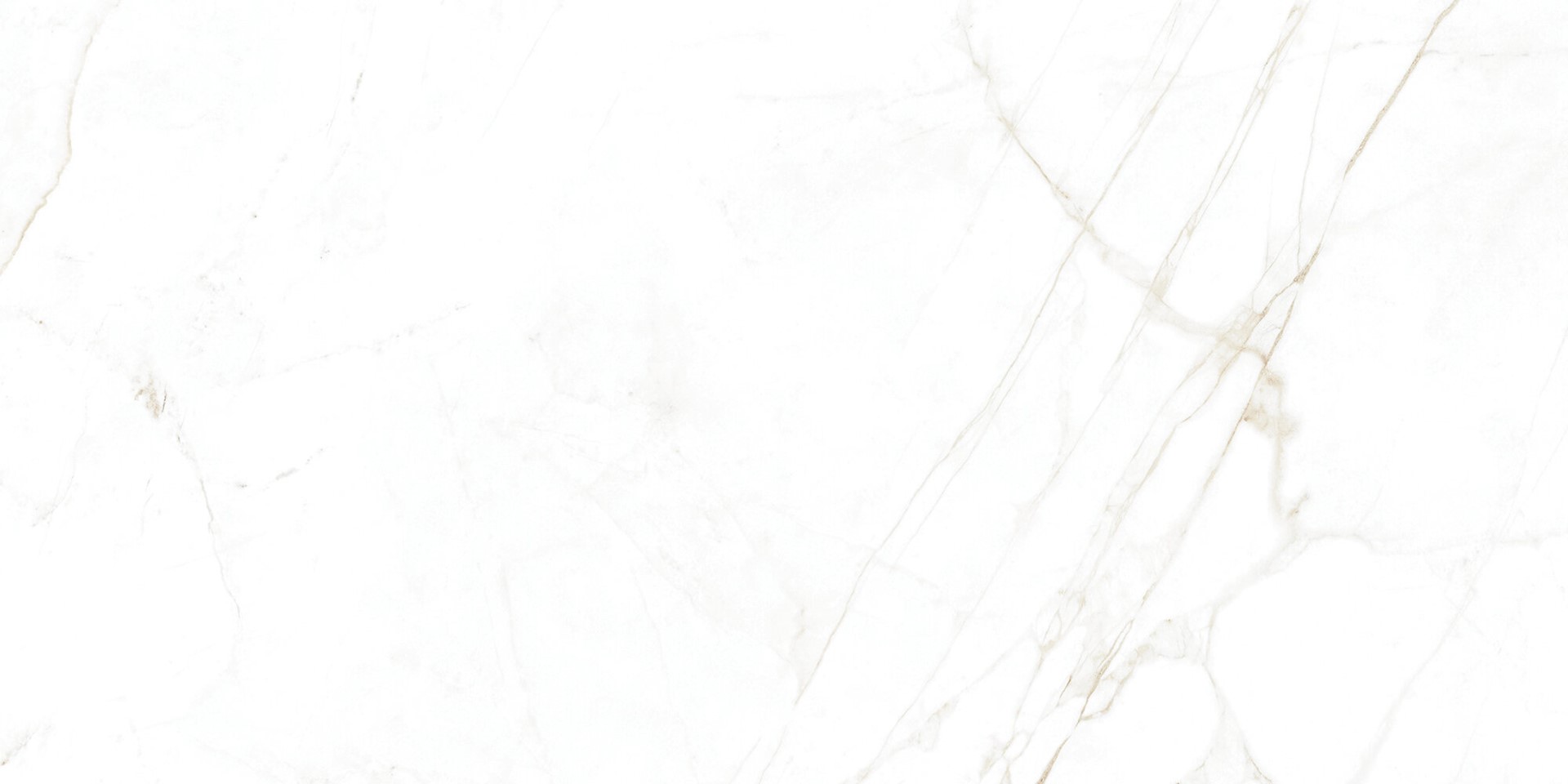 Museum Dual White NT 60x120