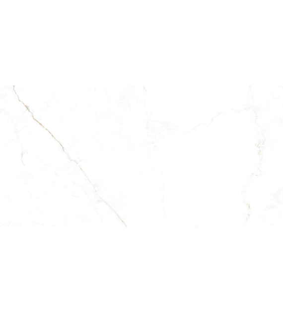 Museum Dual White EP 60x120