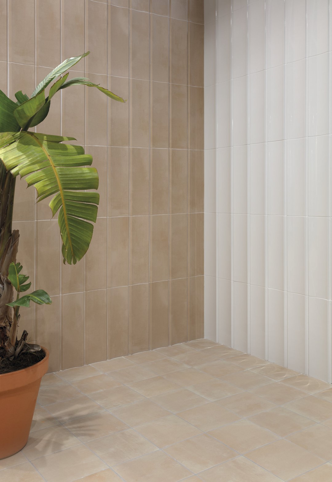 7Harmony Terra 22,3x22,3