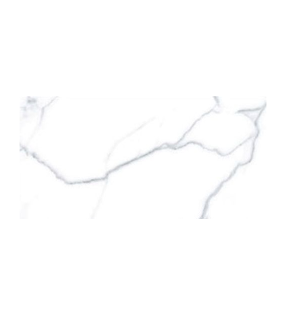 Geotiles Num Blanco 25x50 marmur