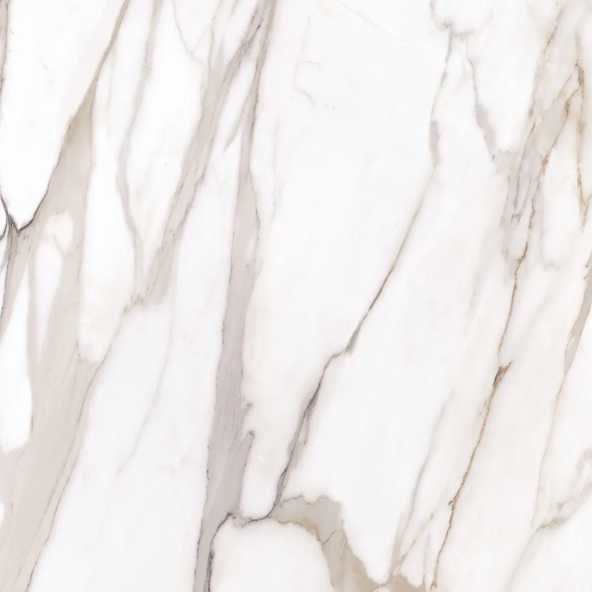 Emil TdM Rel. Calacatta Gold Canova 90x90 Lap mar.