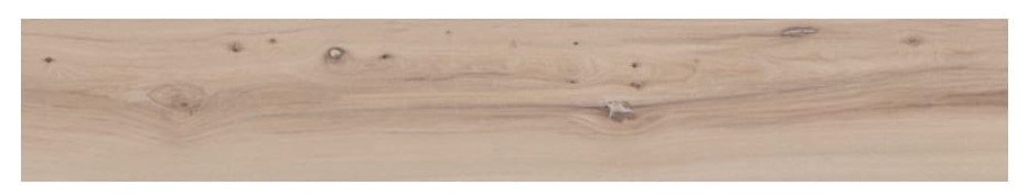 Emil Millelegni Rem. Olmo Natural Tecnica 20x120dr