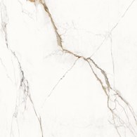 Emil Unique Marble Marmo Paonazzetto 120x120 Silk
