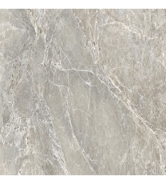 Emil Unique Marble Marmo Moon Grey 120x120 Silk