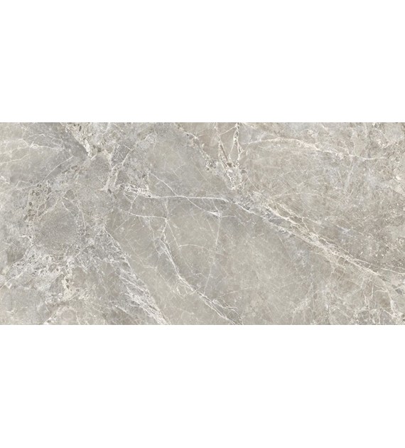 Emil Unique Marble Marmo Moon Grey 60x120* Lap