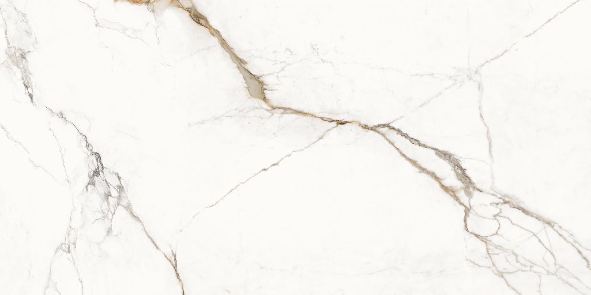 Emil Unique Marble Marmo Paonazzetto 60x120* Silk