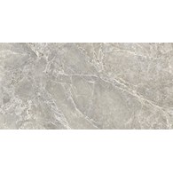 Emil Unique Marble Marmo Moon Grey 60x120* Silk