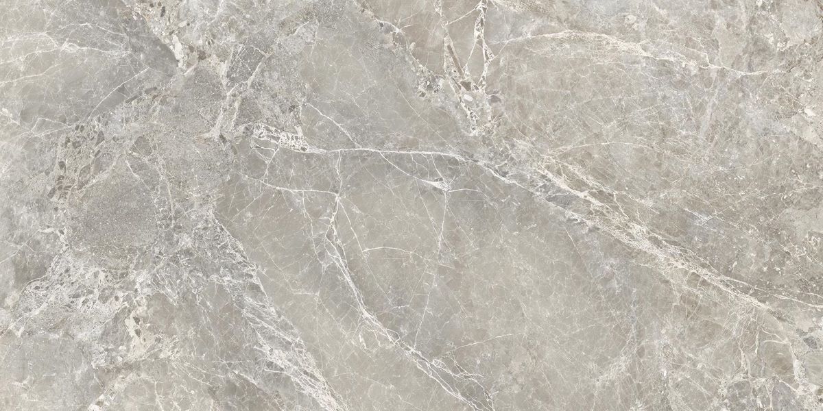 Emil Unique Marble Marmo Moon Grey 60x120* Silk