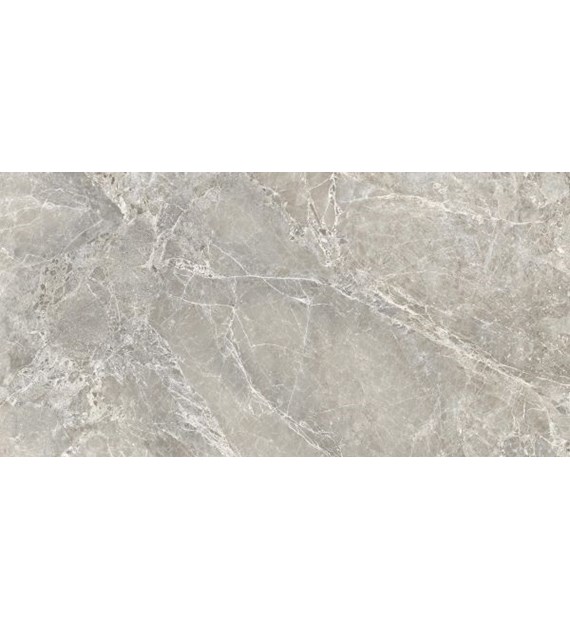 Emil Unique Marble Marmo Moon Grey 30x60 Silktech