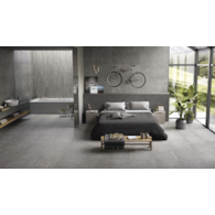 Emil Ego Grigio Scuro 60x120* Nat kamień