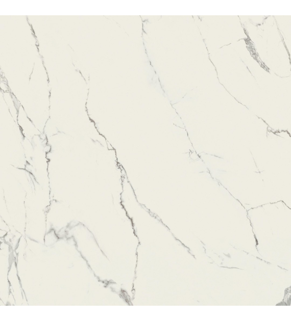7Caesar Anima Statuario Venato 120x120 Mat