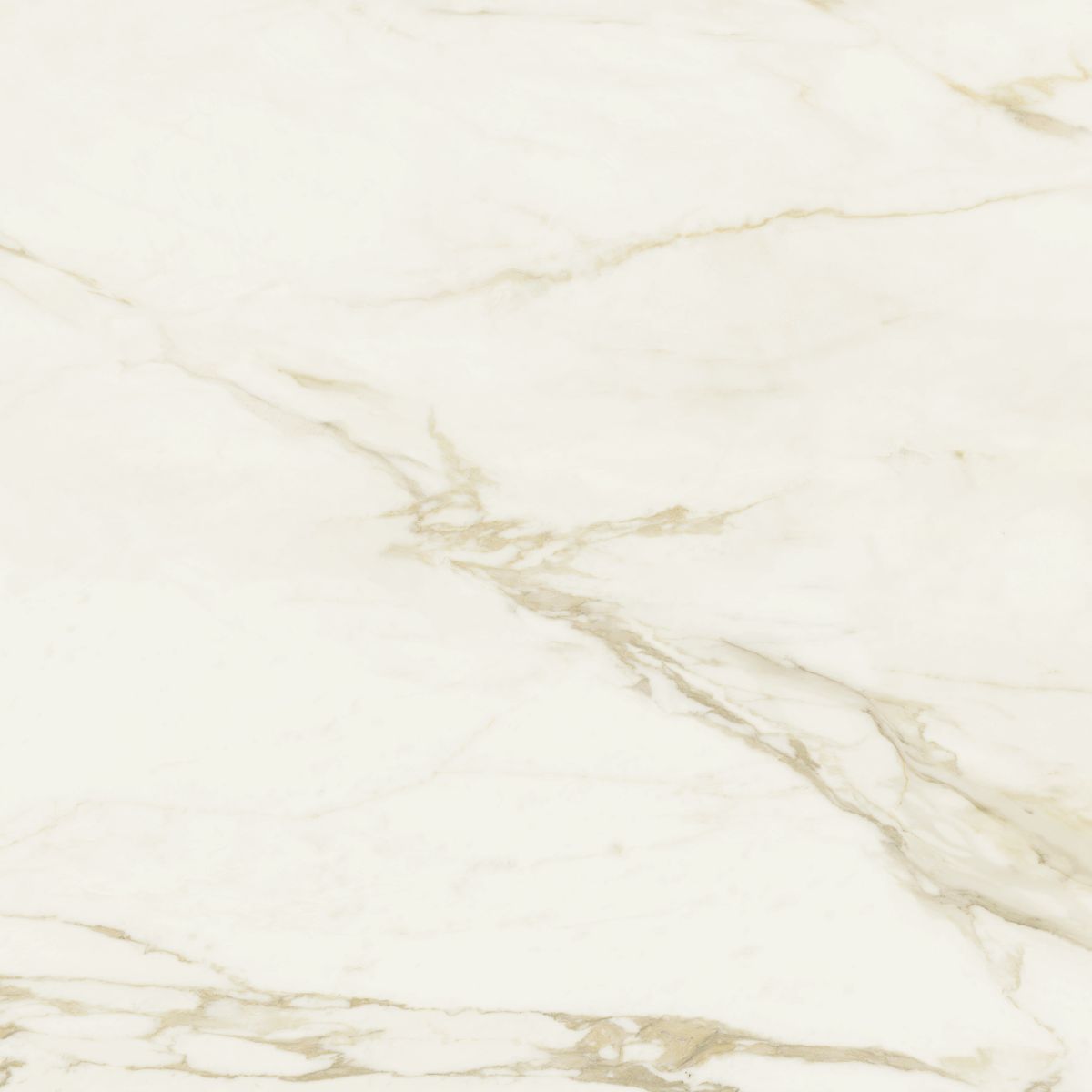 Baldocer Adaggio Gold Pulido 120x120 marmur