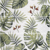 Ape Decor Set(3) Exotica 40x120
