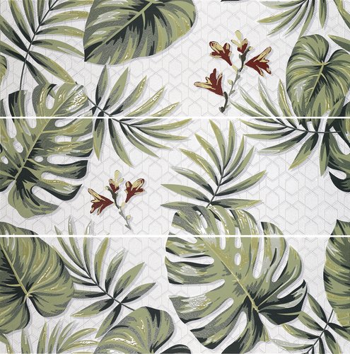 Ape Decor Set(3) Exotica 40x120