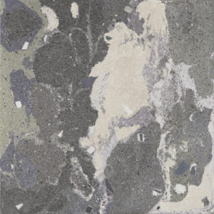 Aparici Lithops Lipan Stamp 99,55x99,55 Natural