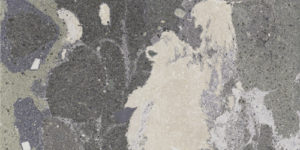 Aparici Lithops Lipan Stamp 49,75x99,55 Natural