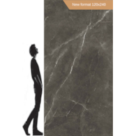 Baldocer Bayona Grey Pulido 120x240