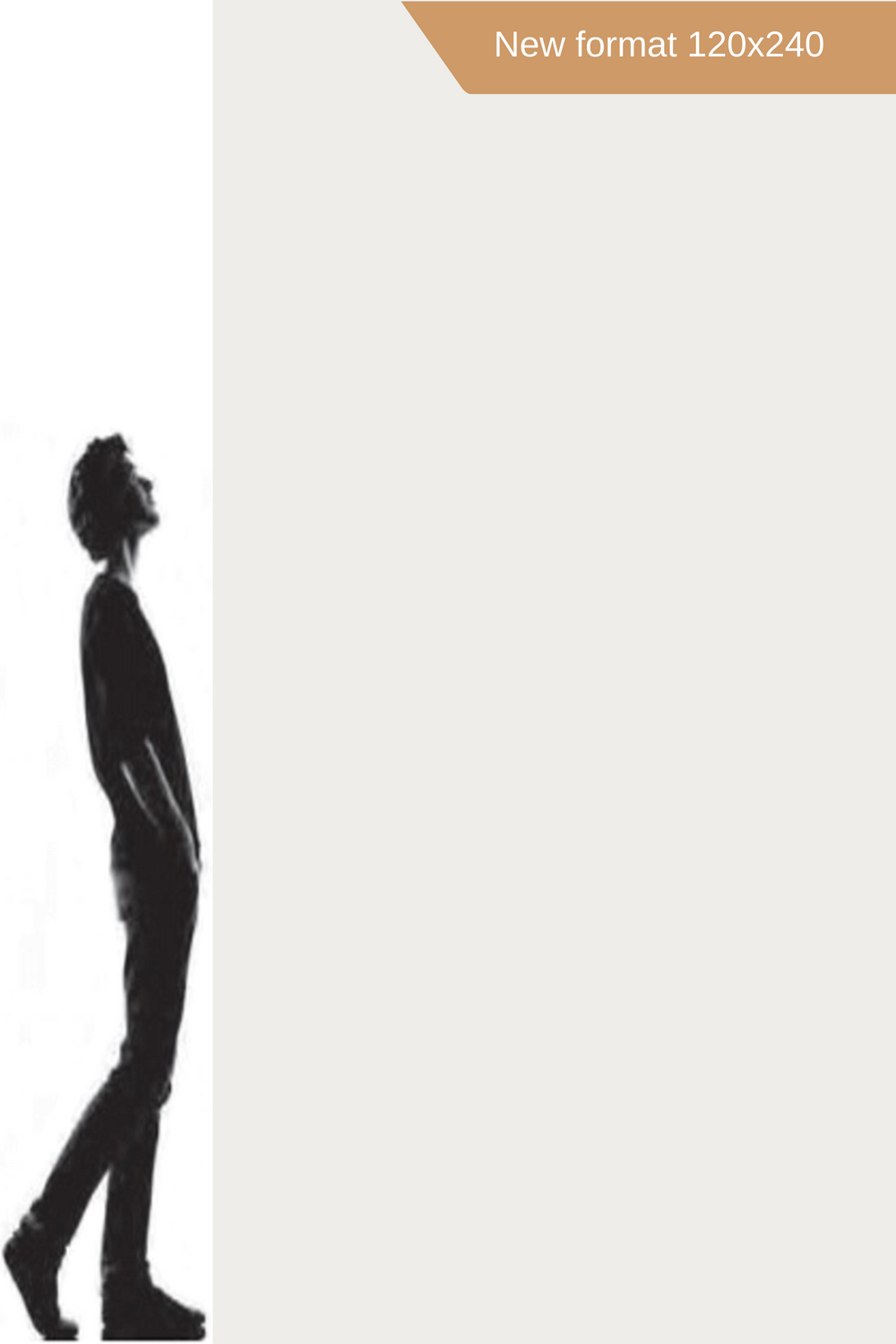 Baldocer B Plus Blanco Natural 120x240