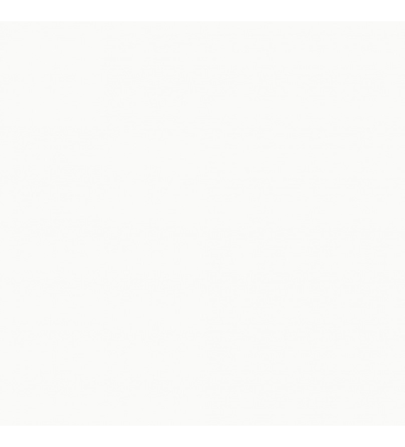 *Baldocer Blanco Natural 80x80 Rect.