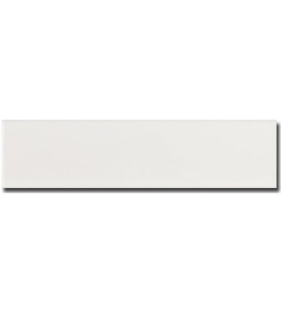 Equipe Evolution Blanco 10x40