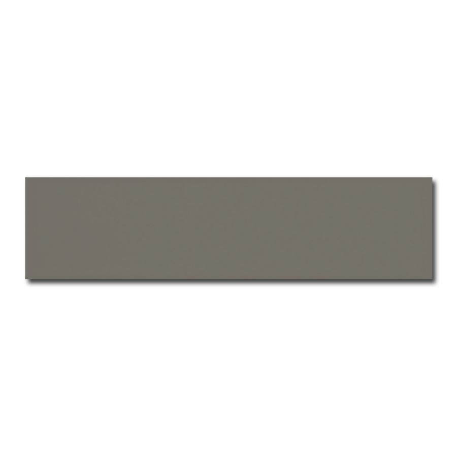 Equipe Evolution Gris Oscuro 10x40