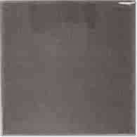 Equipe Evolution Gris Oscuro 15x15
