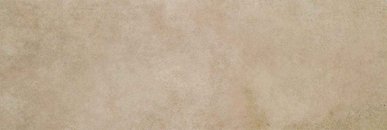 Realonda Habitat Taupe 40x120 Mat