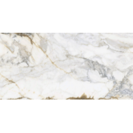 *Pamesa Pisa Gold 60x120 Pul (004)