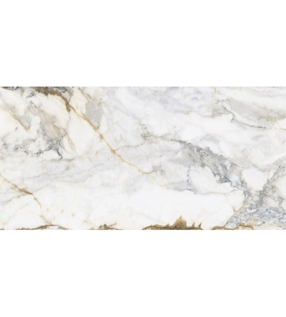 *Pamesa Pisa Gold 60x120 Mat (017)