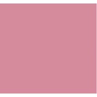 Vives Taco Dome Pink 4x4