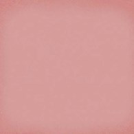 Vives Vodevil Coral 20x20