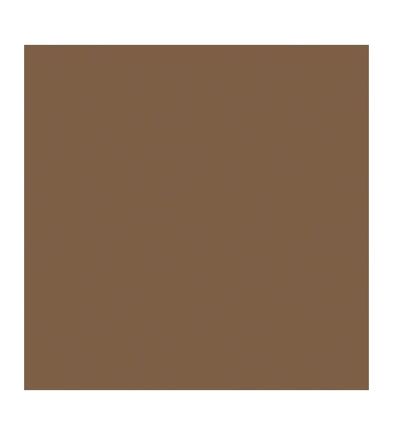Vives Vodevil Marron 20x20